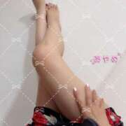 ヒメ日記 2025/05/07 08:52 投稿 石黒 彩愛 大阪貴楼館