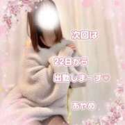 ヒメ日記 2025/11/17 20:52 投稿 石黒 彩愛 大阪貴楼館