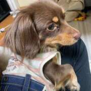 ヒメ日記 2025/04/15 11:07 投稿 あいな【FG系列】 フィーリングin横浜