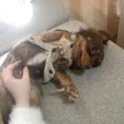 ヒメ日記 2025/05/21 18:17 投稿 あいな【FG系列】 フィーリングin横浜