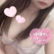 ヒメ日記 2026/05/23 12:10 投稿 いずみ 柏人妻花壇