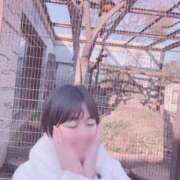 ヒメ日記 2025/03/10 17:16 投稿 あいこ チュッパリップス横浜in綱島