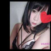 ヒメ日記 2024/12/12 21:36 投稿 うさみ 多恋人倶楽部（山口）