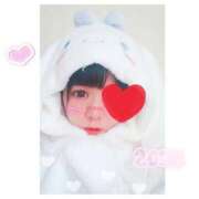 ヒメ日記 2024/12/31 10:30 投稿 うさみ 多恋人倶楽部（山口）