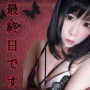 ヒメ日記 2025/03/14 11:01 投稿 うさみ 多恋人倶楽部（山口）