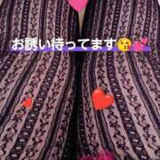 ヒメ日記 2025/03/08 14:32 投稿 かりん 栃木宇都宮ちゃんこ