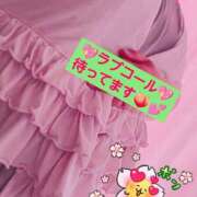 ヒメ日記 2025/03/23 12:25 投稿 かりん 栃木宇都宮ちゃんこ