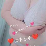 ヒメ日記 2025/04/28 11:18 投稿 かりん 栃木宇都宮ちゃんこ