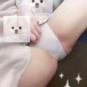 ヒメ日記 2025/12/28 17:40 投稿 えみり 西船人妻花壇