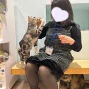 ヒメ日記 2025/04/01 16:24 投稿 くれは 君とふわふわプリンセスin熊谷