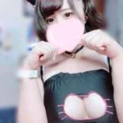 ヒメ日記 2025/08/25 08:01 投稿 くれは 君とふわふわプリンセスin熊谷