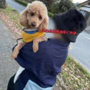 ヒメ日記 2026/02/07 14:03 投稿 くれは 君とふわふわプリンセスin熊谷