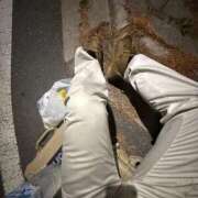 ヒメ日記 2025/06/17 01:56 投稿 渚白（なぎさ・はく） ニューハーフヘルス シーメールレジェンド 新宿 歌舞伎町店