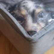 ヒメ日記 2025/02/07 22:24 投稿 リオナ 【福岡デリヘル】20代・30代★博多で評判のお店はココです！