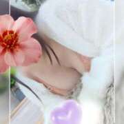 ヒメ日記 2025/12/15 11:50 投稿 なつめ モアグループ小山人妻花壇