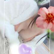 なつめ 再び……再び…… モアグループ小山人妻花壇