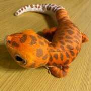 ヒメ日記 2025/11/30 09:47 投稿 そら 横浜回春性感マッサージ倶楽部