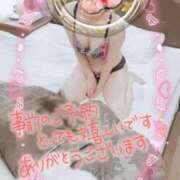 ヒメ日記 2025/06/12 09:00 投稿 大矢 せつな 人妻セレブ宮殿