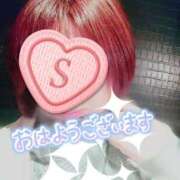 ヒメ日記 2026/03/05 09:00 投稿 大矢 せつな 人妻セレブ宮殿