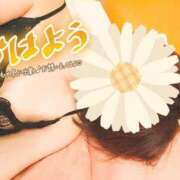 ヒメ日記 2026/04/12 08:00 投稿 大矢 せつな 人妻セレブ宮殿