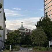 ヒメ日記 2025/07/27 22:59 投稿 ことは 錦糸町人妻セレブリティ（ユメオト）