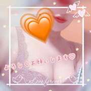 ヒメ日記 2025/11/20 23:37 投稿 ことは 錦糸町人妻セレブリティ（ユメオト）