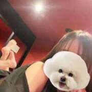 ヒメ日記 2025/03/13 20:37 投稿 ハヅキ ドMなバニーちゃん大宮店