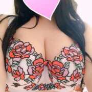 ヒメ日記 2025/11/14 20:29 投稿 あんり☆ドエロ責め好き痴女 じゃむじゃむ