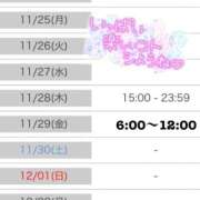 ヒメ日記 2024/11/22 17:56 投稿 はるか 東京妻next (京都グループ)