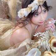 ヒメ日記 2025/03/08 15:03 投稿 のの ジャパンクラブ富士