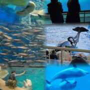 ヒメ日記 2025/01/07 17:24 投稿 ライム ダイスキ