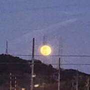 ヒメ日記 2025/03/14 22:50 投稿 ライム ダイスキ