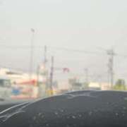 ヒメ日記 2025/03/26 09:07 投稿 ライム ダイスキ