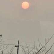 ヒメ日記 2025/03/26 22:40 投稿 ライム ダイスキ