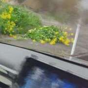 ヒメ日記 2025/03/28 22:55 投稿 ライム ダイスキ