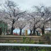 ヒメ日記 2025/03/31 11:27 投稿 ライム ダイスキ