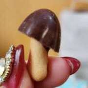 ヒメ日記 2025/04/07 15:58 投稿 ライム ダイスキ