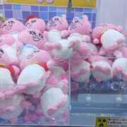 ヒメ日記 2025/05/19 20:02 投稿 ライム ダイスキ