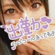 ヒメ日記 2025/06/09 08:07 投稿 ライム ダイスキ