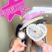 ヒメ日記 2025/06/12 12:53 投稿 ライム ダイスキ