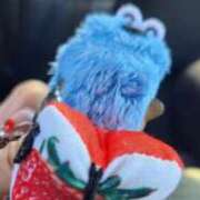 ヒメ日記 2025/07/24 09:46 投稿 ライム ダイスキ