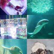 ヒメ日記 2025/08/14 23:20 投稿 ライム ダイスキ