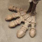 ヒメ日記 2025/08/17 22:13 投稿 ライム ダイスキ