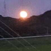 ヒメ日記 2025/09/09 12:39 投稿 ライム ダイスキ