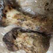 ヒメ日記 2025/10/13 17:56 投稿 ライム ダイスキ