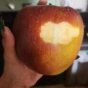 ヒメ日記 2025/11/03 19:36 投稿 ライム ダイスキ