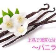 ヒメ日記 2025/11/09 13:43 投稿 ライム ダイスキ