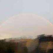 ヒメ日記 2025/11/26 08:57 投稿 ライム ダイスキ