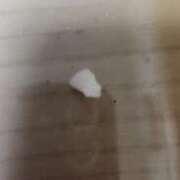 ヒメ日記 2025/12/14 18:59 投稿 ライム ダイスキ