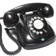 ヒメ日記 2025/12/15 09:17 投稿 ライム ダイスキ